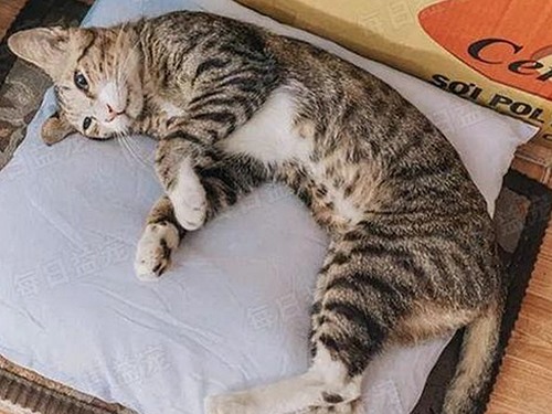 从疑云到真相：明星事件的完整时间线回顾