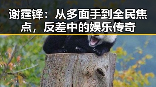 谢霆锋：从多面手到全民焦点，反差中的娱乐传奇