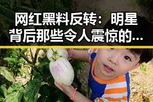 网红黑料反转:明星背后那些令人震惊的秘密