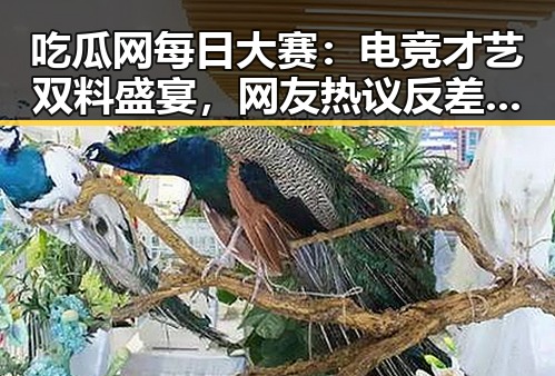 吃瓜网每日大赛：电竞才艺双料盛宴，网友热议反差魅力