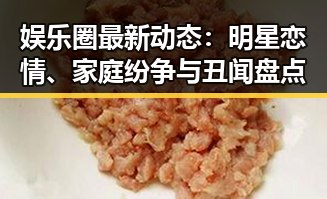 娱乐圈最新动态：明星恋情、家庭纷争与丑闻盘点
