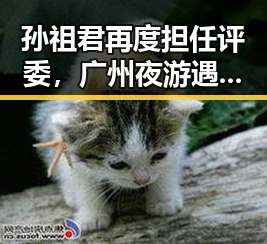 孙祖君再度担任评委，广州夜游遇粉丝“狂追”惊险瞬间