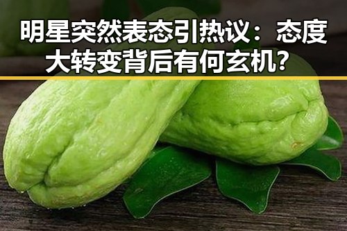 明星突然表态引热议：态度大转变背后有何玄机？